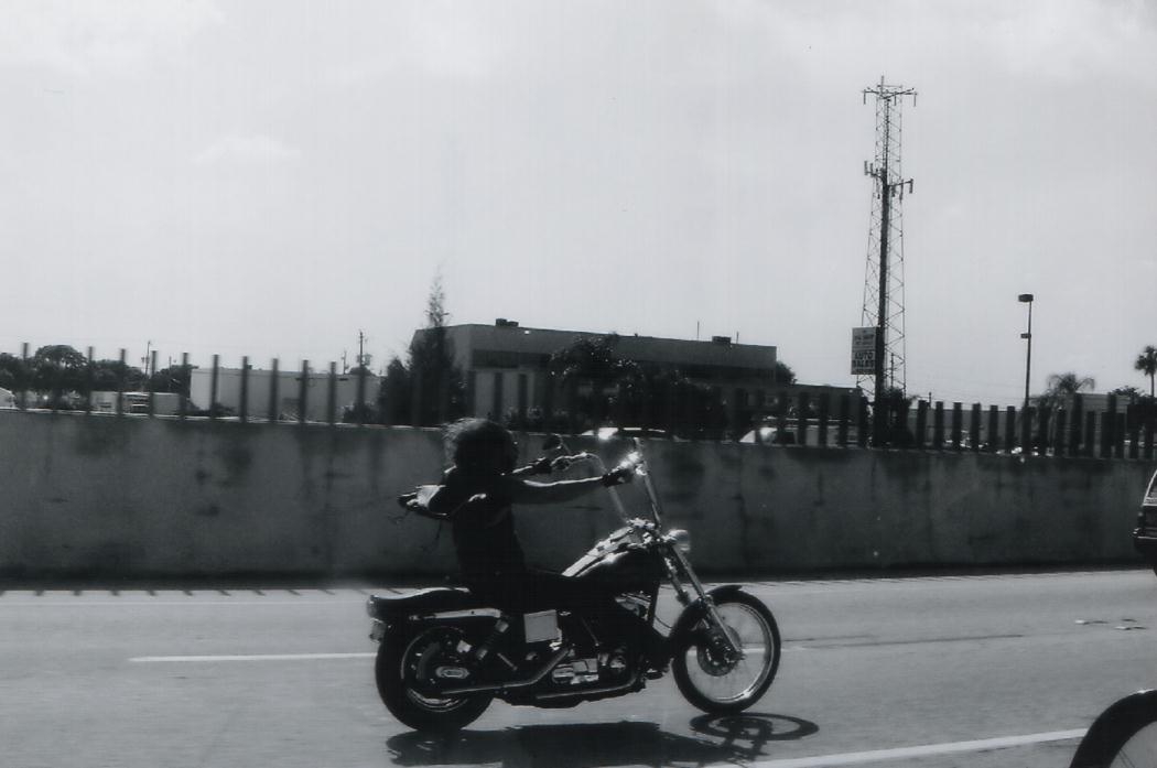 [Image: bikers%20know%20why%20dogs%20put%20their...070mph.jpg]